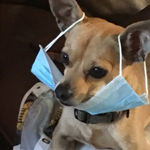 Meet your Posher, Randall